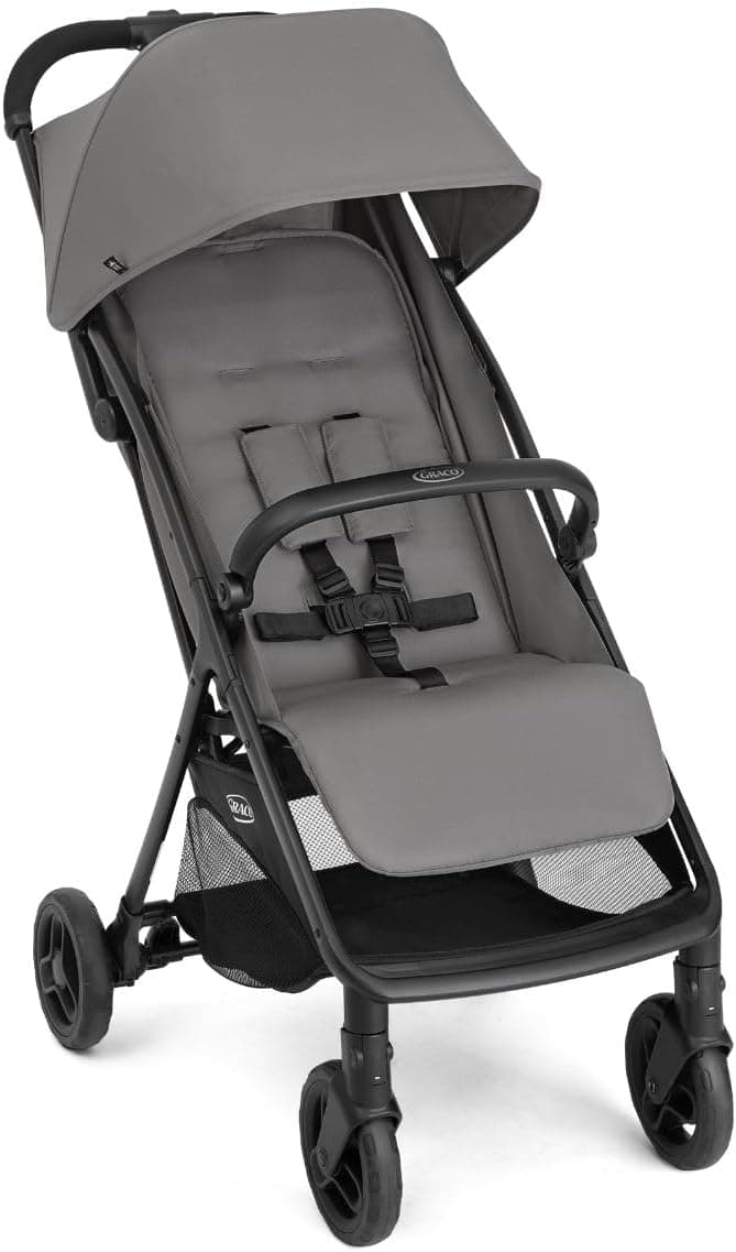 Graco MyyLite